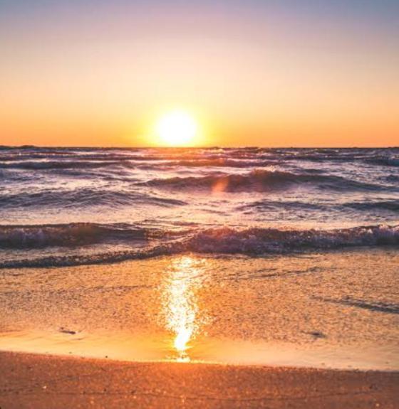 Marari La Rose Beach Homestay Mararikulam Exteriör bild