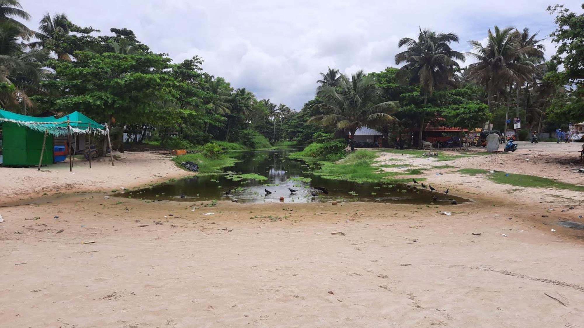 Marari La Rose Beach Homestay Mararikulam Exteriör bild
